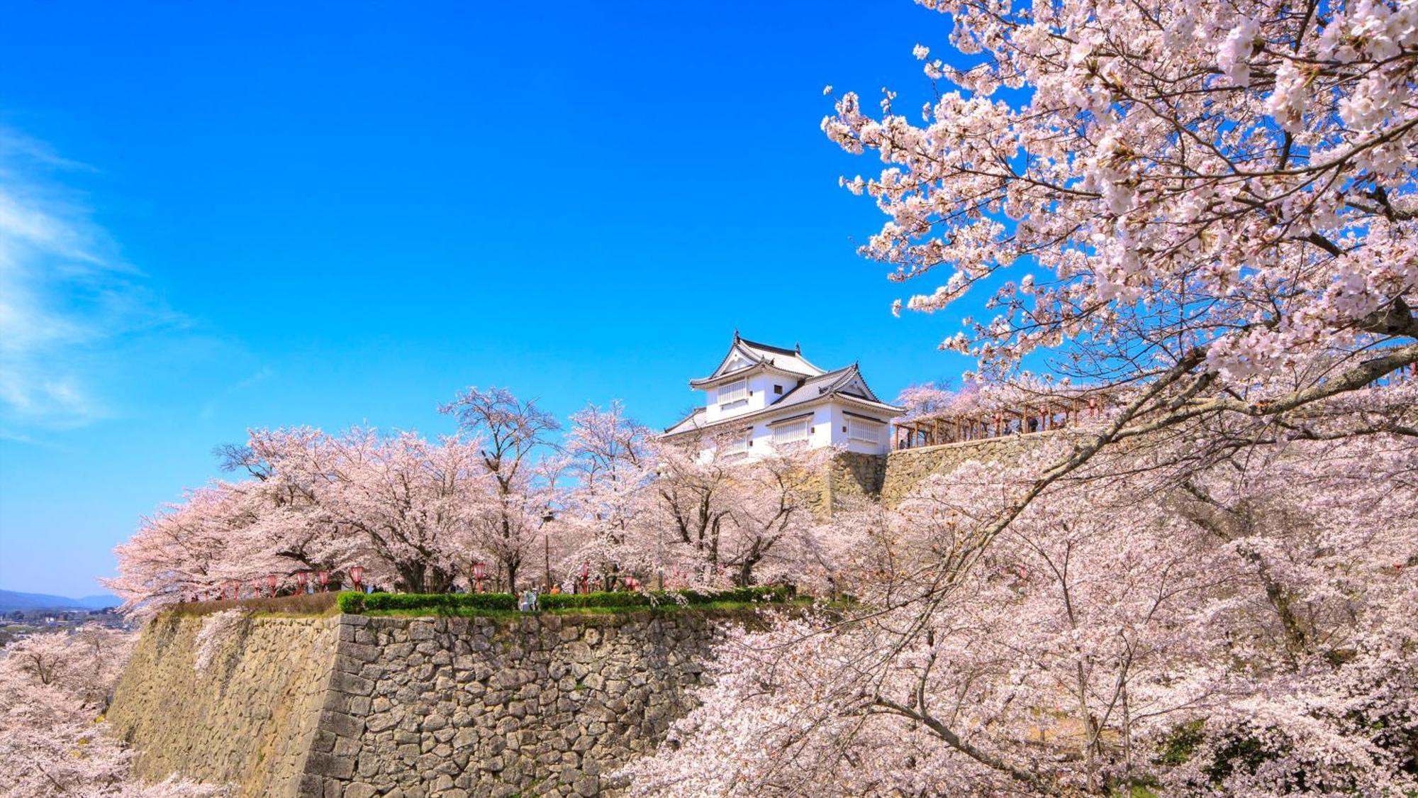 Ana Crowne Plaza Okayama By Ihg Hotell Eksteriør bilde